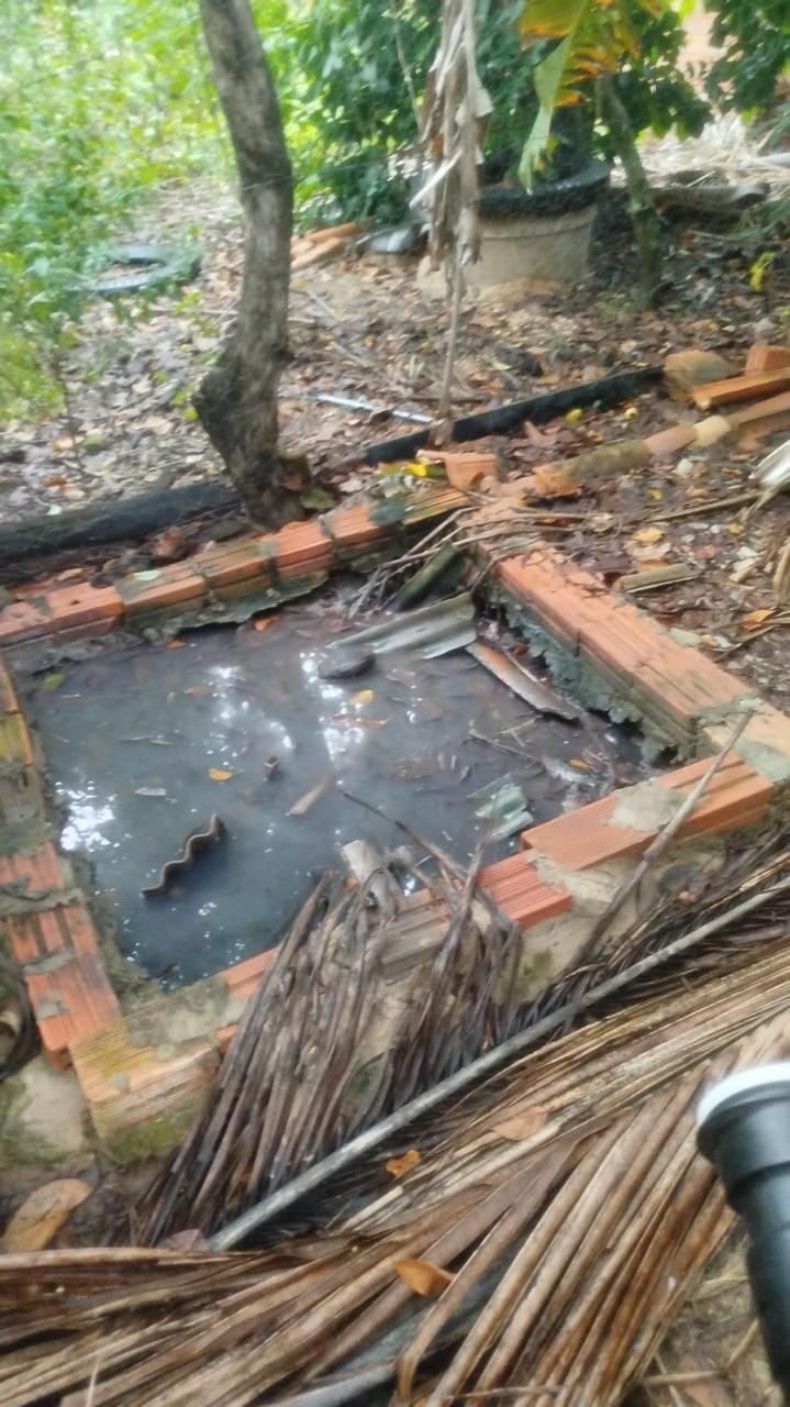 Foto 5 da matéria